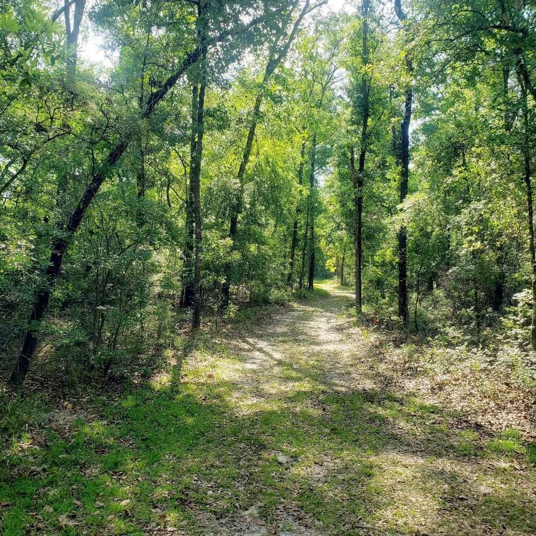 ICHETUCKNEE RIVER ESTATE - Residential
