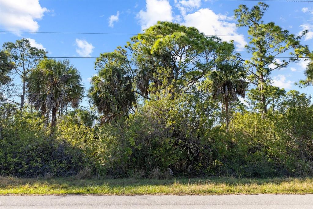 Photo of 425 Cheshire Street, Port Charlotte, FL 33953 (MLS # TB8504974)