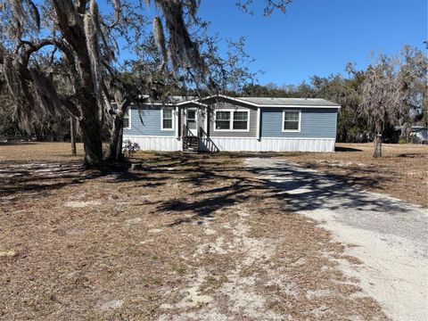 Photo of 11801 Bruin Drive, New Port Richey, FL 34654 (MLS # TB8471984)