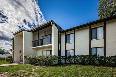 A home in PALM HARBOR