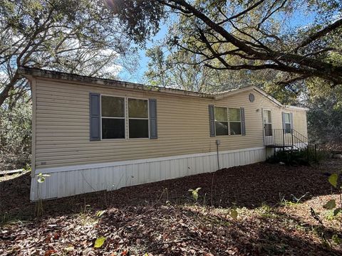 Photo of 18330 Booming Road, Spring Hill, FL 34610 (MLS # TB8463764)
