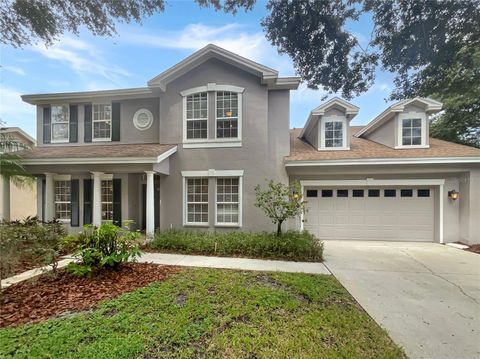 18122 SUGAR BROOKE DRIVE TAMPA FL 33647