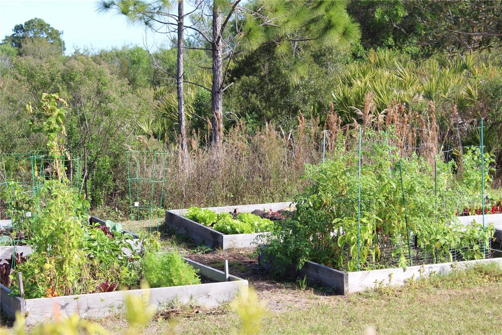 CYPRESS FALLS - Residential