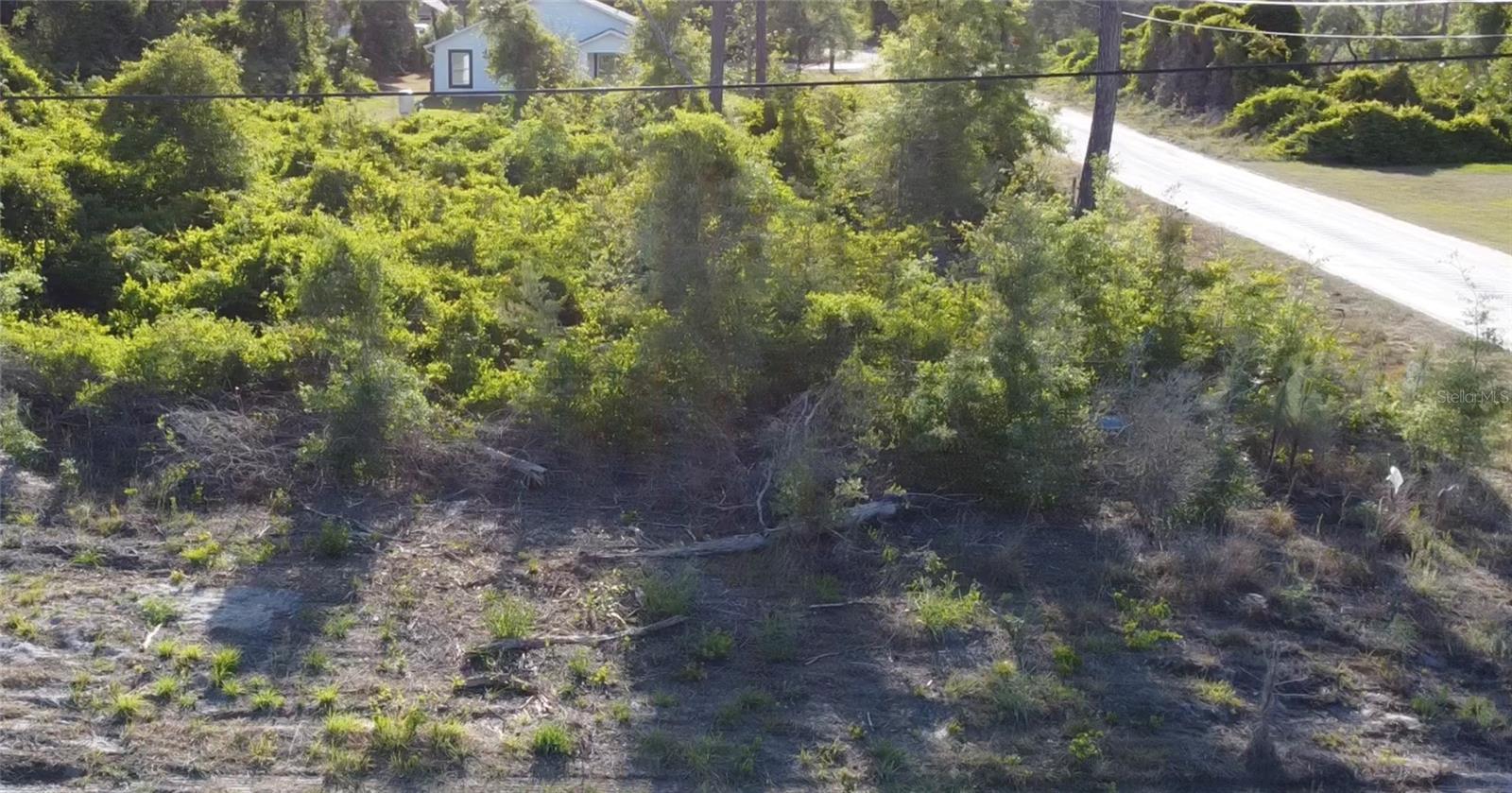 DAYTONA PARK ESTATES SEC D - Land