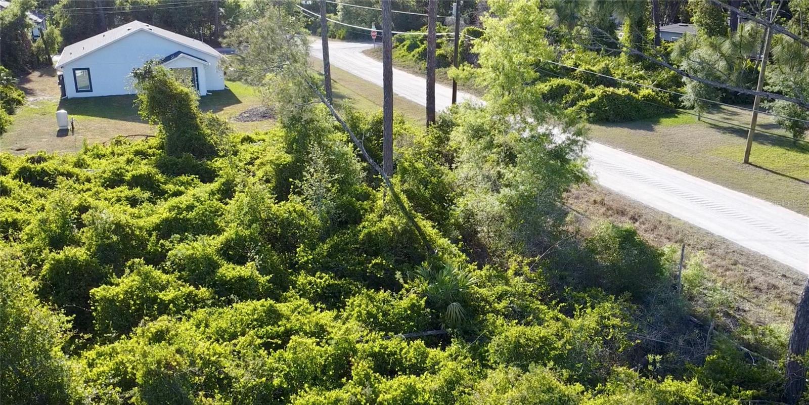 DAYTONA PARK ESTATES SEC D - Land