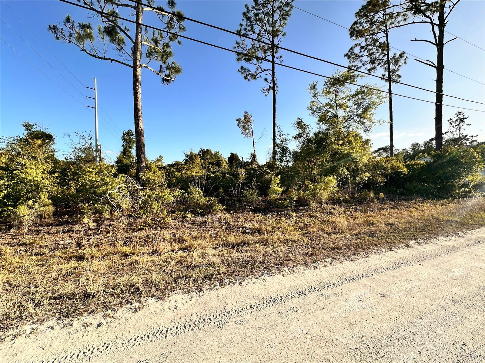 DAYTONA PARK ESTATES SEC D - Land
