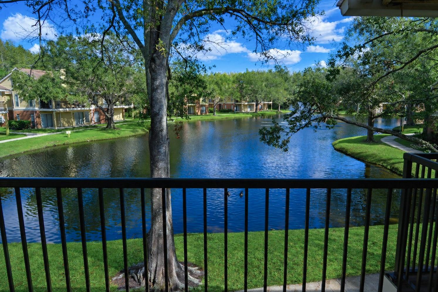 THE GRAND RESERVE CONDO - Residential Lease