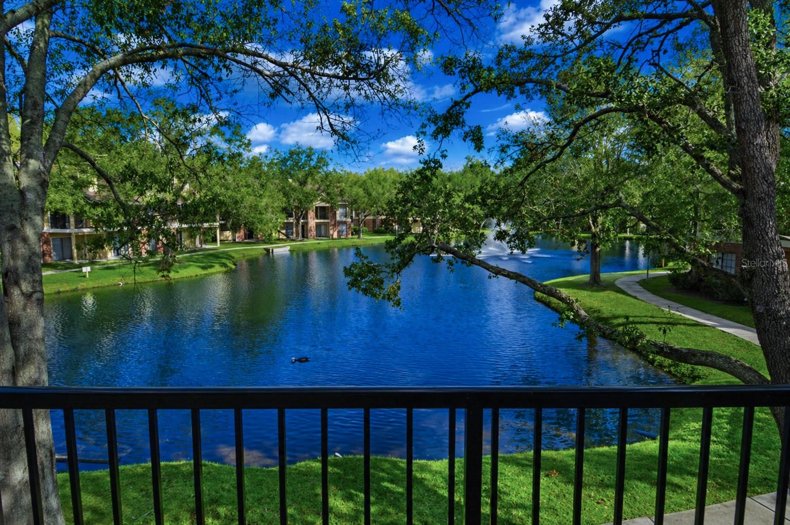 THE GRAND RESERVE CONDO - Residential Lease