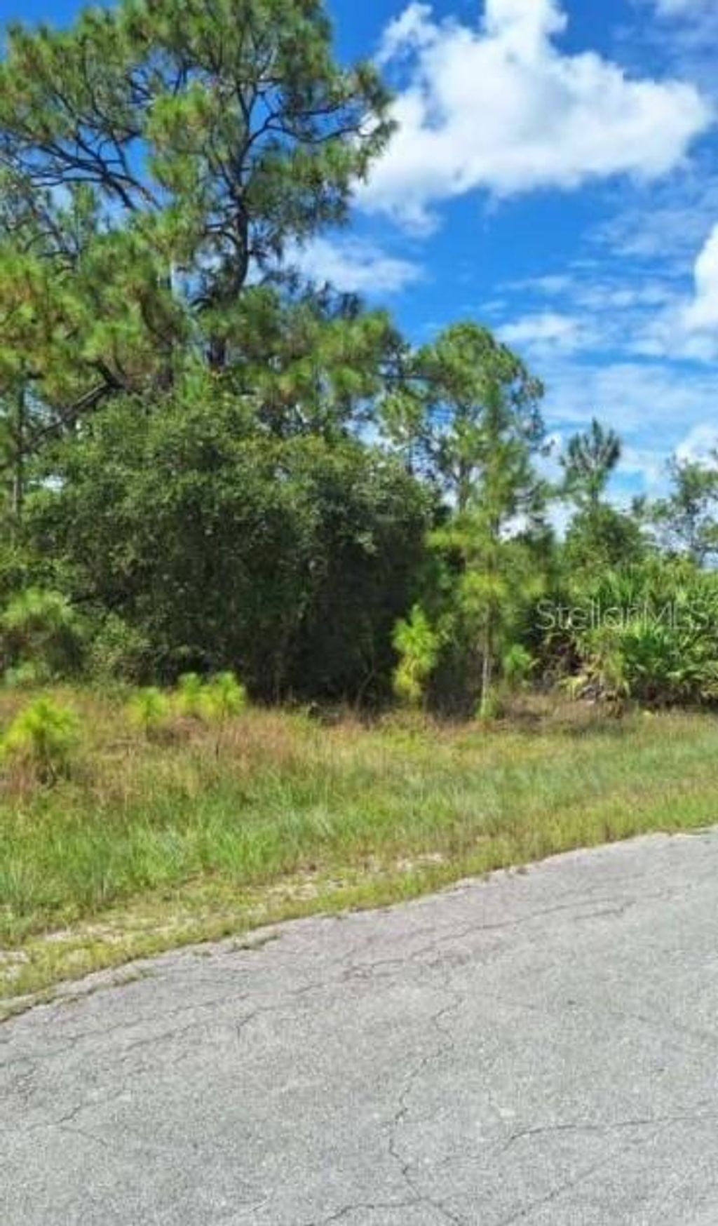 Photo of 16491 Strauss Avenue, Port Charlotte, FL 33954 (MLS # A4673682)