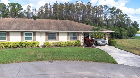 A home in SUN CITY CENTER