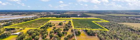 Tiny photo for 7285 Number 2 Road, Howey In The Hills, FL 34737 (MLS # G5077350)