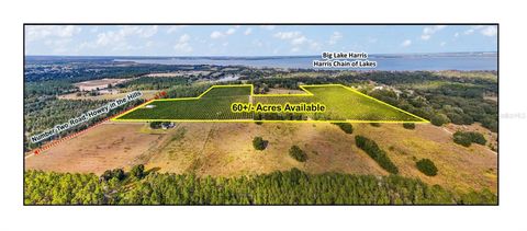 Tiny photo for 7285 Number 2 Road, Howey In The Hills, FL 34737 (MLS # G5077350)