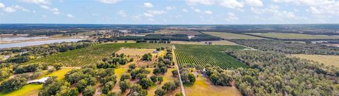 Tiny photo for 7285 Number 2 Road, Howey In The Hills, FL 34737 (MLS # G5077350)