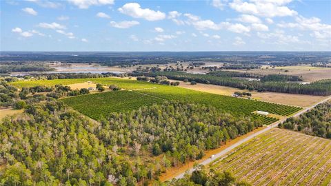 Tiny photo for 7285 Number 2 Road, Howey In The Hills, FL 34737 (MLS # G5077350)