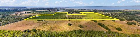 Tiny photo for 7285 Number 2 Road, Howey In The Hills, FL 34737 (MLS # G5077350)