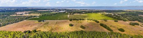 Tiny photo for 7285 Number 2 Road, Howey In The Hills, FL 34737 (MLS # G5077350)