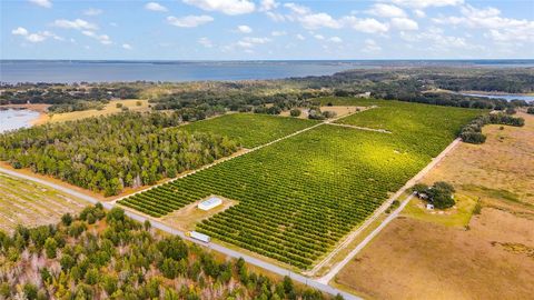 Tiny photo for 7285 Number 2 Road, Howey In The Hills, FL 34737 (MLS # G5077350)