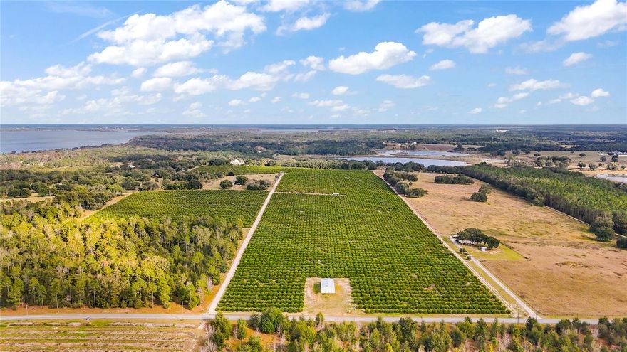 Offering is for 60+/- acres of beautiful Florida Orange Grove with potential for residential development. Located close to The Villages and Mission Inn and just under an hour from Orlando or Ocala. This beautiful site is minutes from world class golfing or fishing. All information is believed accurate and correct but not guaranteed or warranted and subject to change without notice.