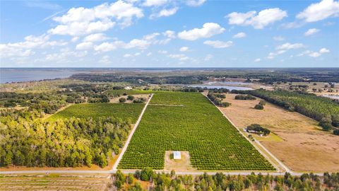 7285 NUMBER 2 ROAD HOWEY IN THE HILLS FL 34737