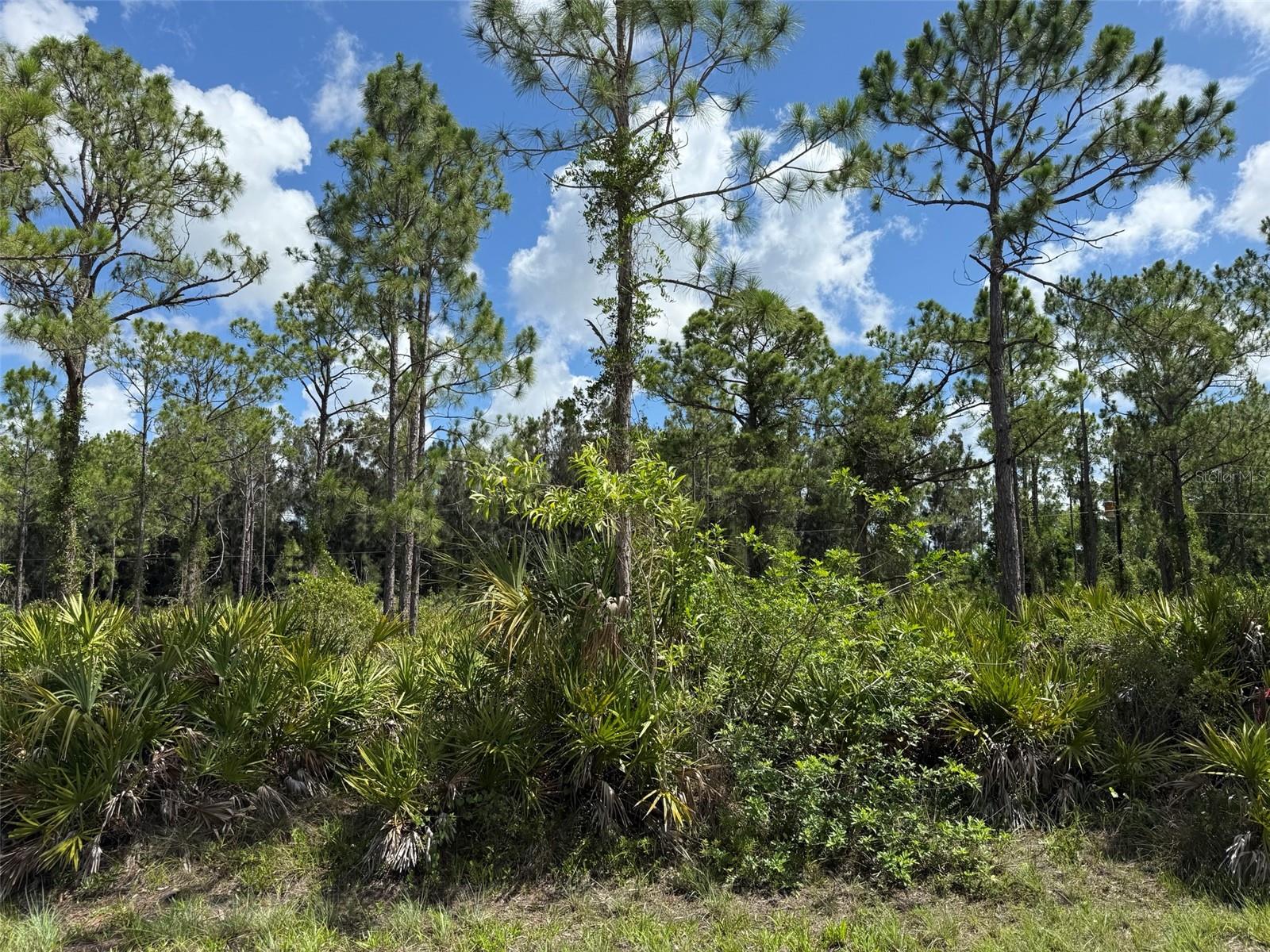 Must see!! Beautiful vacant land waiting for you to build your dream home. This lot in the desirable city of Punta Gorda benefits from its prime location, offering easy access to an array of amenities and attractions. Enjoy the beaches and fishing nearby in Charlotte Harbor and the Gulf of Mexico. Rare opportunity here if you can visualize what it could be! Don't let this one get away whether you build your dream home or just invest for your future.