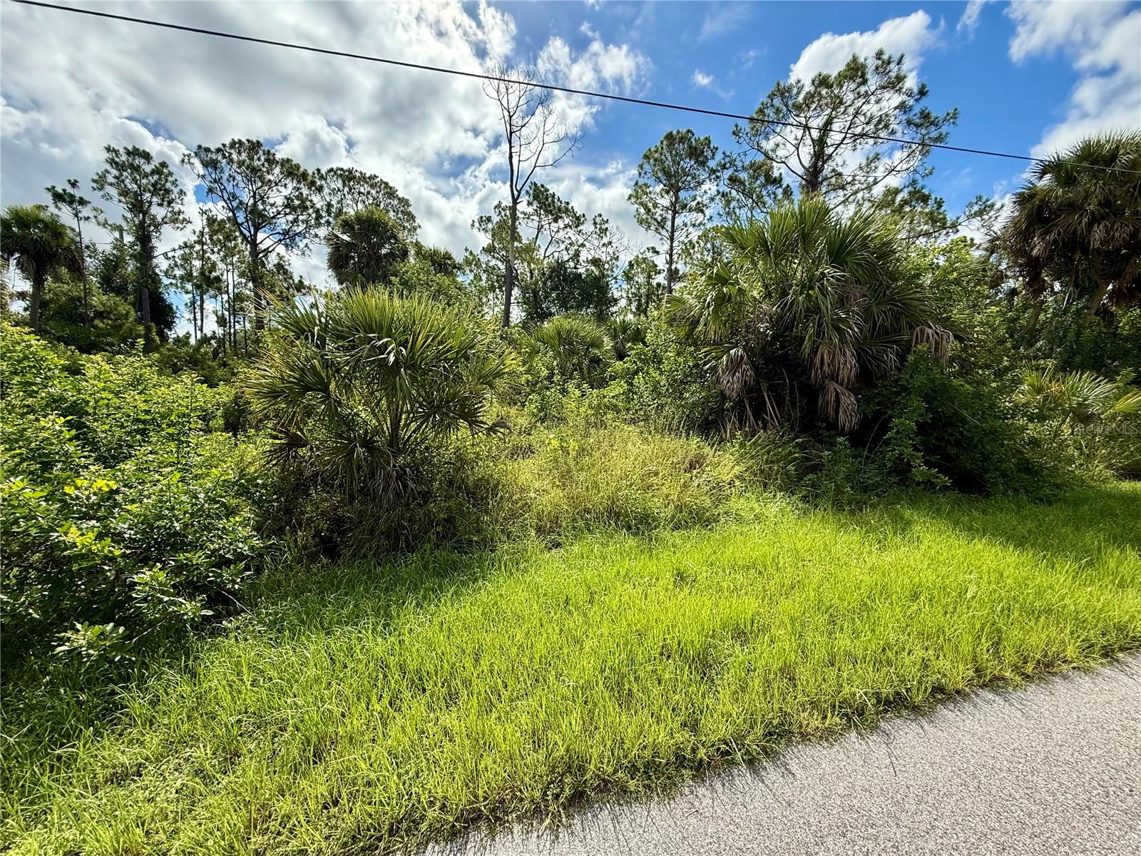 Looking for that perfect piece of land to build your slice of paradise on? Here's a great lot in this up-and-coming area of North Port! NO flood insurance required, save money and build with confidence!!! Electric at site, and no need to worry about mitigating Scrub Jays as property is NOT located in a habitat. Greenbelt running along back of property giving additional privacy space. Bring all your toys...store your RV, boat, kayaks, put up a detached garage, shed for an art studio, trampoline, or treehouse, doesn't matter as this is a non-deed restricted area of Sarasota County! And of course, what could be more Florida than having your own pool which the property has plenty of room for! Property is close to all amenities including sandy beaches & crystal waters of Venice, Englewood & Boca Grande Beaches, Golf Courses, boat launches, minutes from TWO Spring training Stadiums, the Rays & the Braves who hosts games against the Yankees, Red Sox, Mets & more. Have local builder with floorplans of 3 bedroom 2 bathroom homes with 10’ ceilings, 8’ doors porcelain plank flooring throughout, Quartz/Granite, lighting & fans, appliances, Impact windows…all-inclusive pricing starting at $320,000.