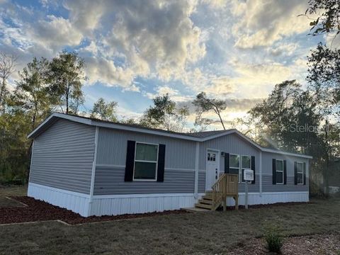 Photo of 45605 Oleander Street, Paisley, FL 32767 (MLS # O6356476)