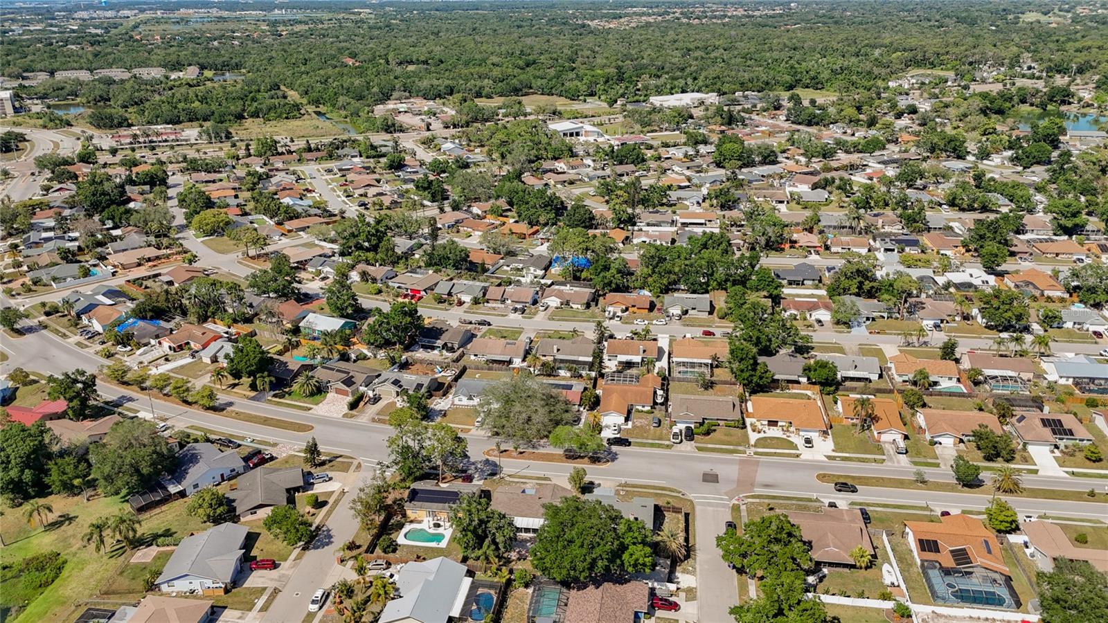 LAKE SARASOTA - Residential