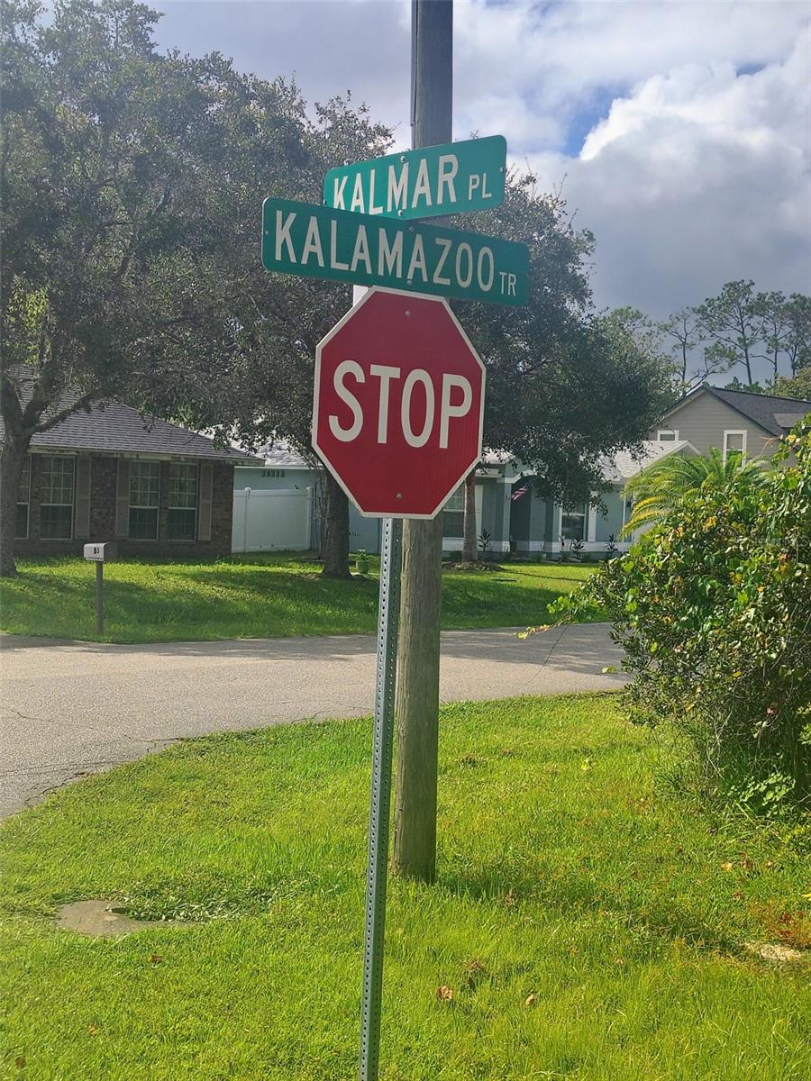 Photo of 1 Kalmar Place, Palm Coast, FL 32164 (MLS # FC321787)