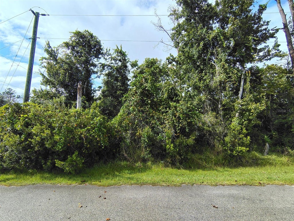 Photo of 1 Kalmar Place, Palm Coast, FL 32164 (MLS # FC321787)