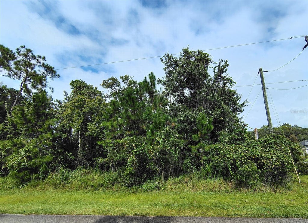 Photo of 1 Kalmar Place, Palm Coast, FL 32164 (MLS # FC321787)