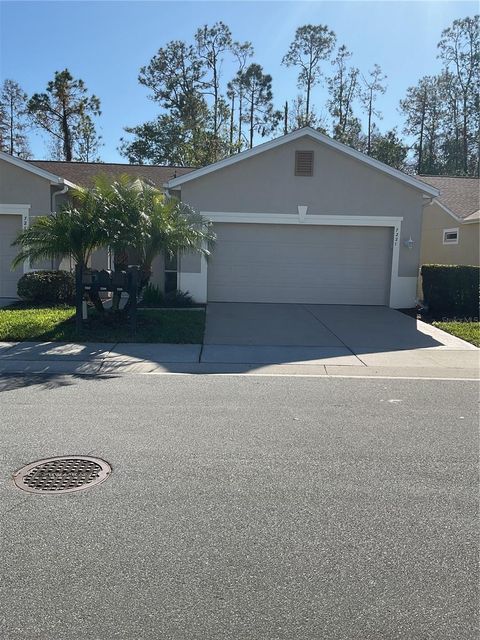 A home in LAND O LAKES