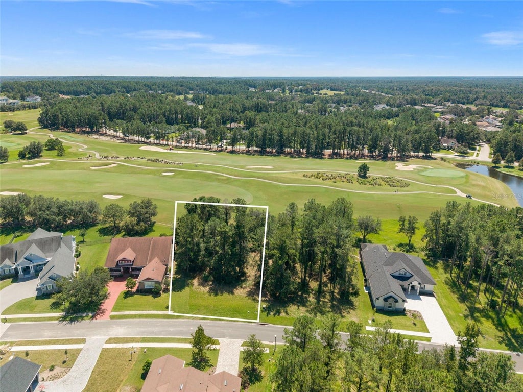 Photo of 19594 Sterling Bluff Way, Brooksville, FL 34601 (MLS # W7890037)