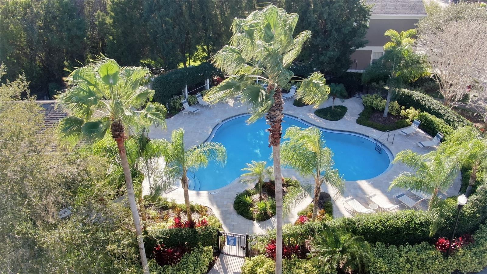 WINDSOR PLACE AT CITRUS PARK P - Residential Lease