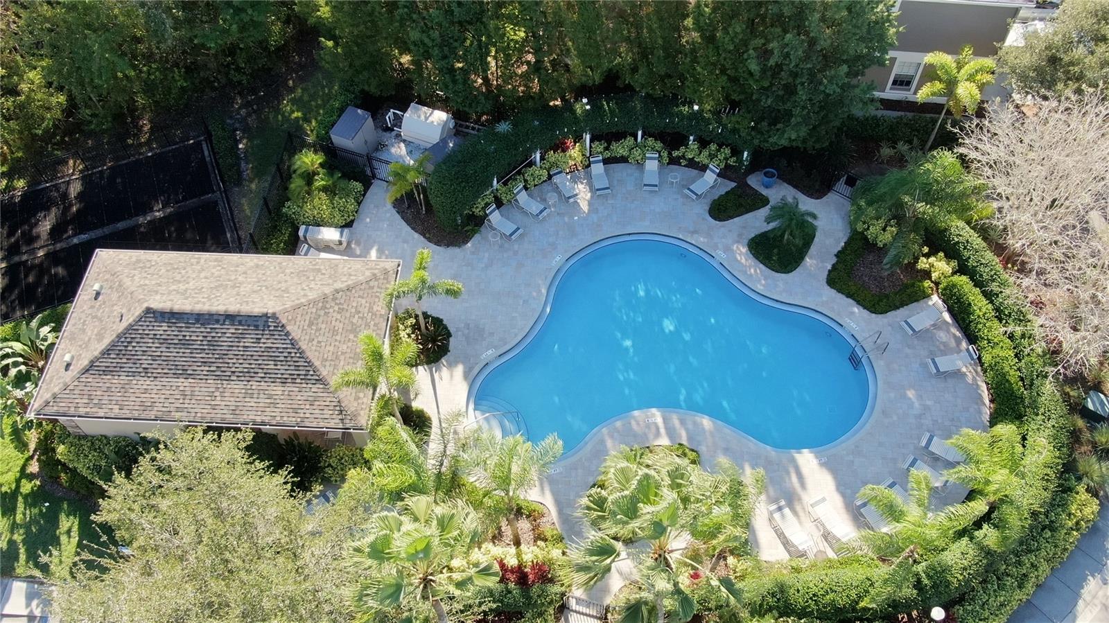 WINDSOR PLACE AT CITRUS PARK P - Residential Lease