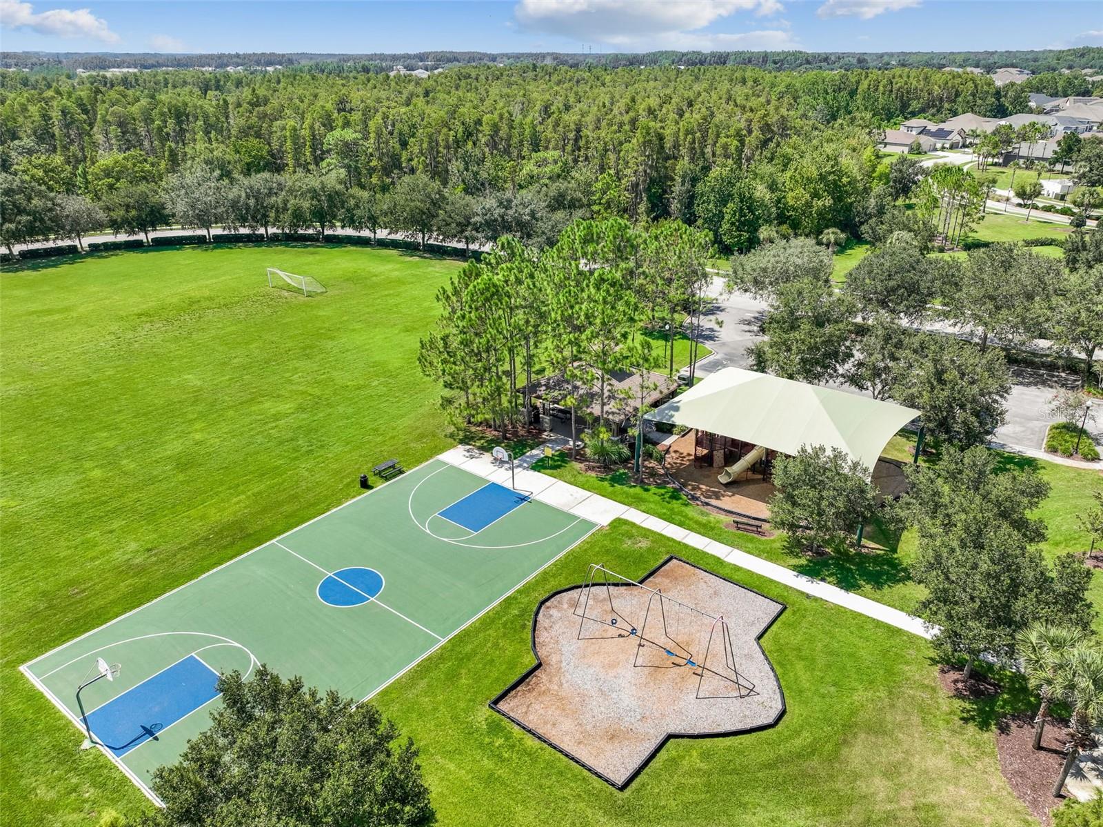 MEADOW POINTE III HOA - Residential