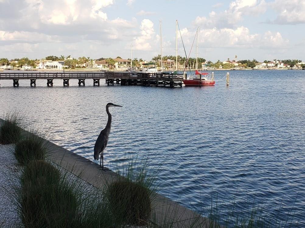 BAYWAY ISLES POINT BRITTANY THREE - Residential