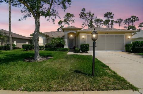 Photo of 11147 Brambleleaf Way, Hudson, FL 34667 (MLS # TB8377426)