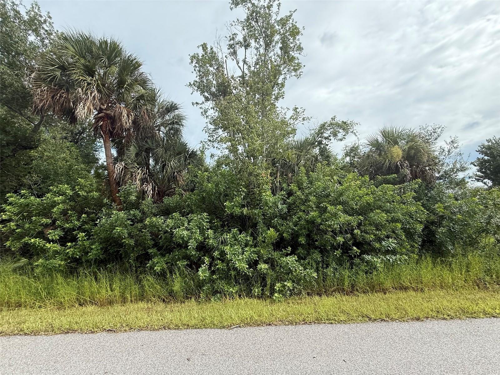 Vacant Lot in Sarasota County – Prime Opportunity! Discover your piece of paradise with this vacant lot in sunny Sarasota County! Located in a peaceful and growing area, this parcel offers the perfect opportunity to build your dream home, invest in future development, or hold as a long-term asset. Enjoy easy access to nearby beaches, shopping, dining, and top-rated schools. The lot is zoned for residential use and offers ample space for a custom build, with room for a pool, garden, or additional structures. Whether you’re a builder, investor, or future homeowner, this lot is a smart buy in a desirable location. No HOA, no deed restrictions – bring your vision to life! Close to: Gulf beaches, Myakka River, I-75, Wellen Park, North Port, and Sarasota. Neighboring lot also available. For directional purposes use 2341 snug a few houses over.
