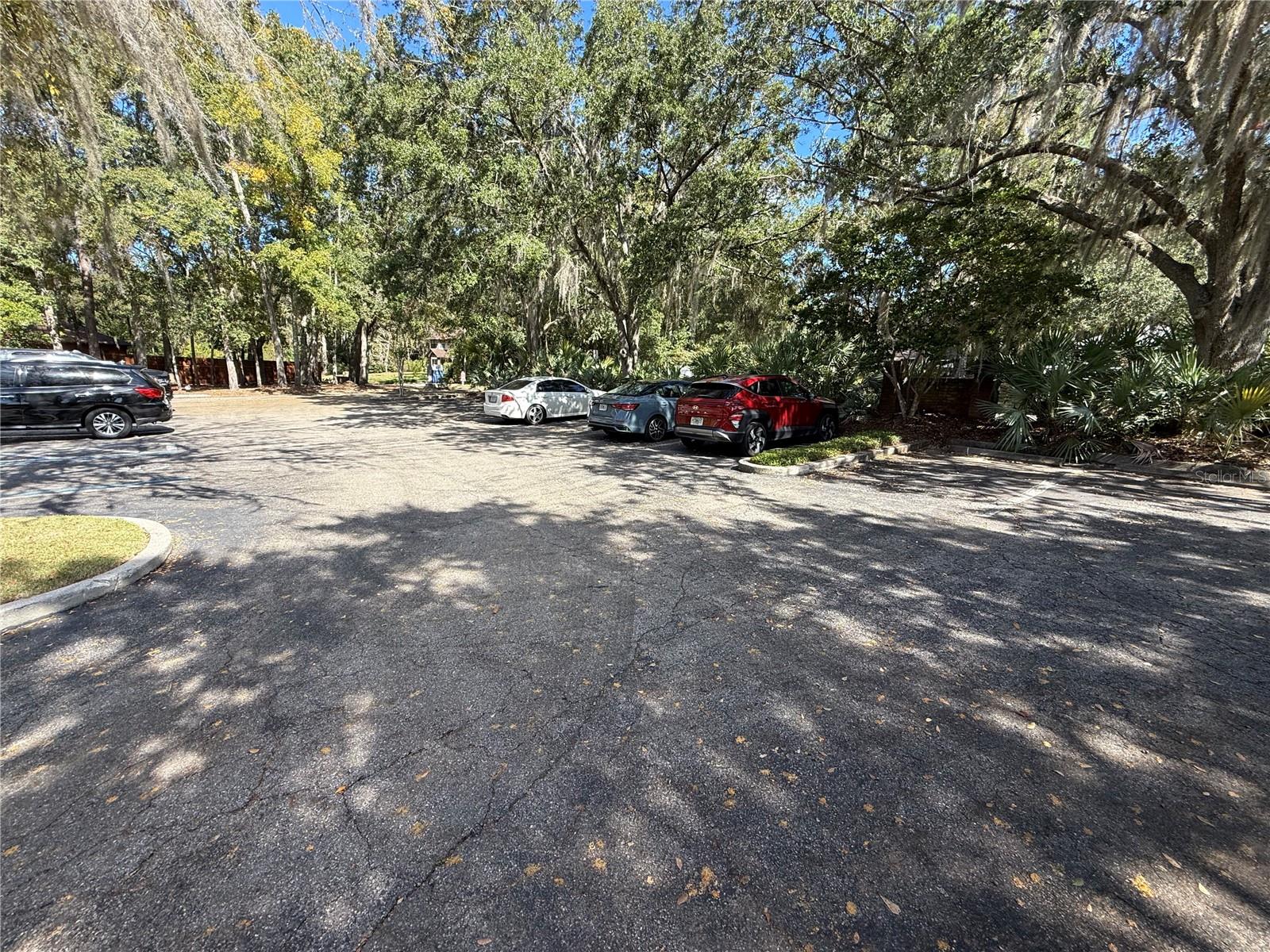 PARK AVE CONCOURSE - Commercial Lease