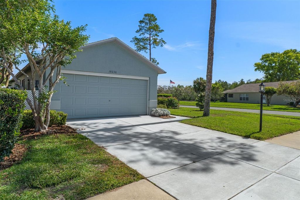 Photo of 18236 Webster Grove Drive, Hudson, FL 34667 (MLS # A4691455)