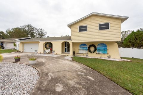 A home in BRANDON