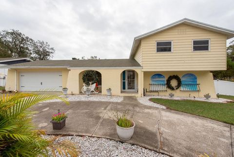 A home in BRANDON