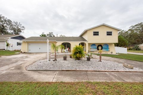 A home in BRANDON