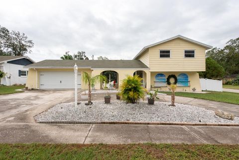 A home in BRANDON