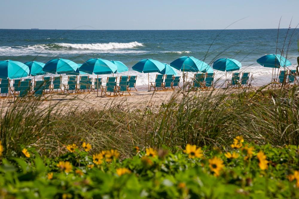 LATITUDE/DAYTONA BEACH CLOAR - Residential