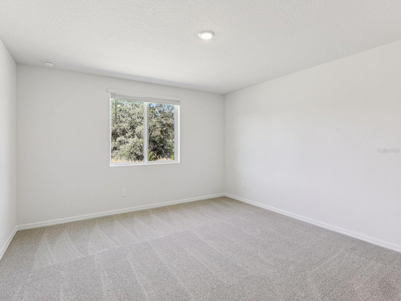 SALT MEADOWS - Residential