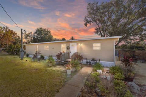 A home in BELLEVIEW