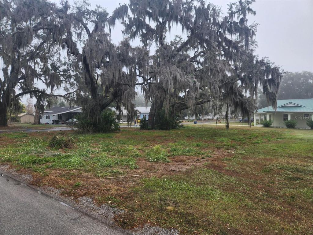 Photo of 795 W Vine Street, Bartow, FL 33830 (MLS # L4949591)