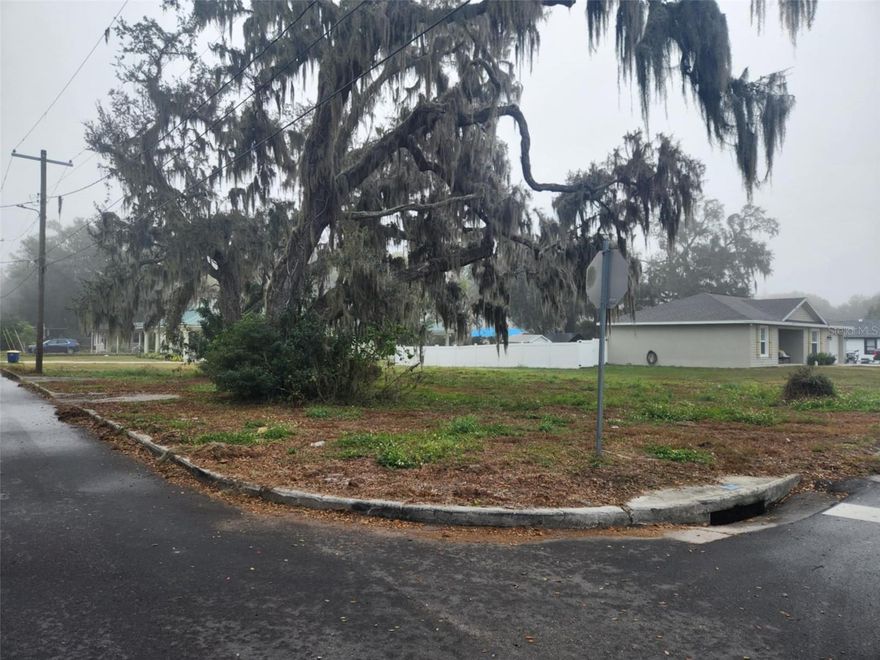 Corner lot located in an established neighborhood with no HOA. Just under a quarter acre. Build your dream home just minutes from Downtown Bartow.