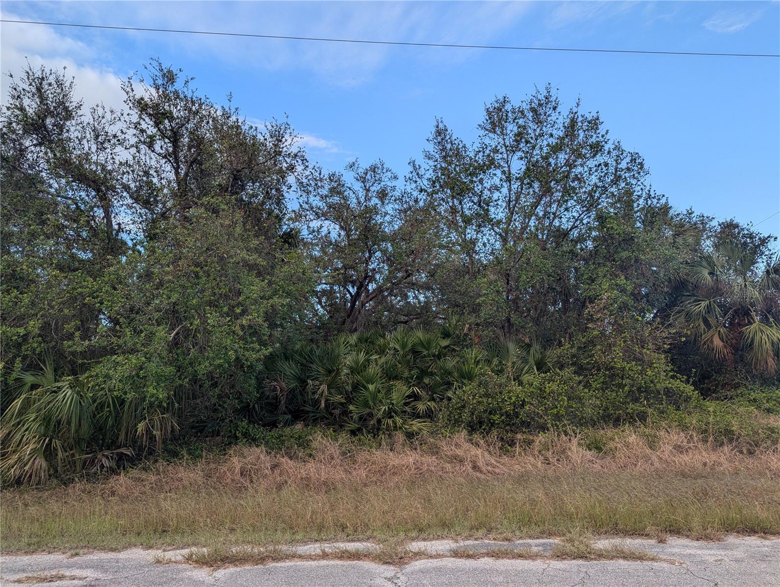 PORT CHARLOTTE SUB 44 - Land